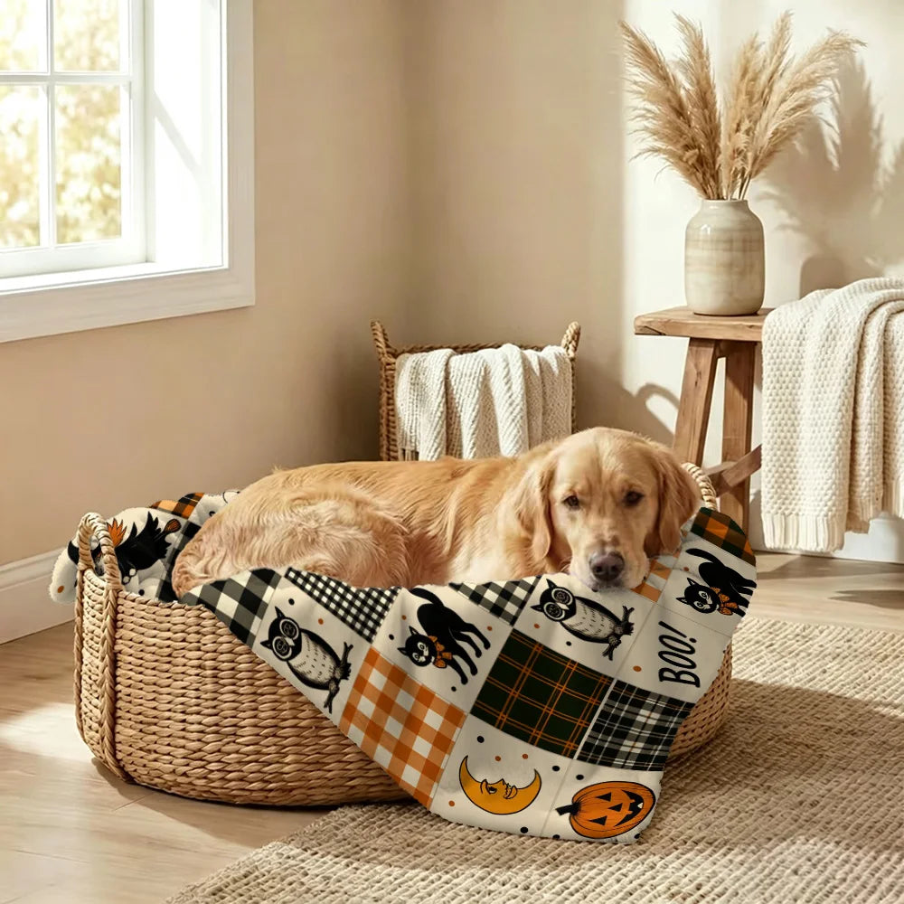 Plaid Halloween - Chien ou chat