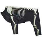Costume squelette Halloween - chien