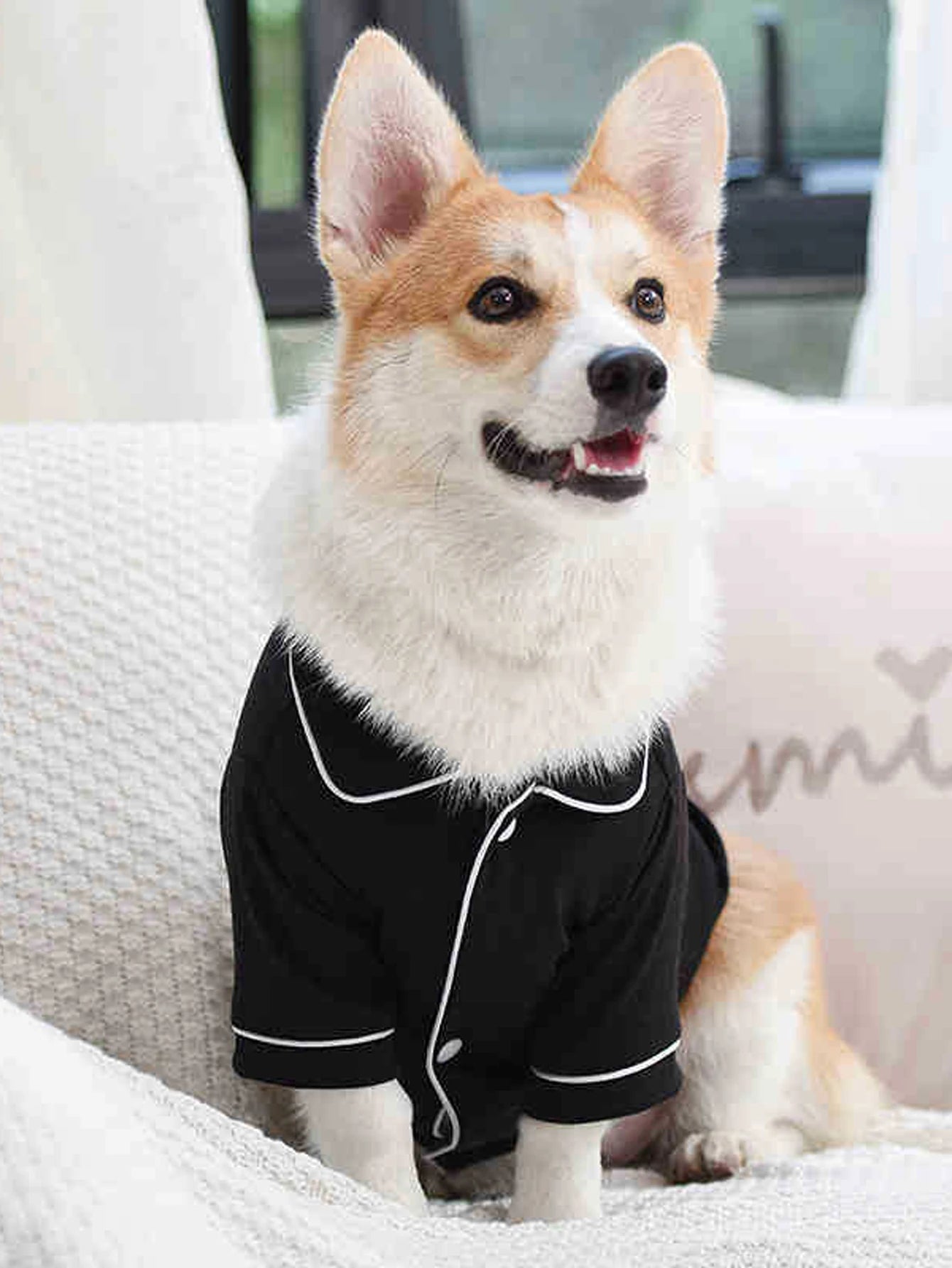 Pyjama d’été élégant pour chien et chat