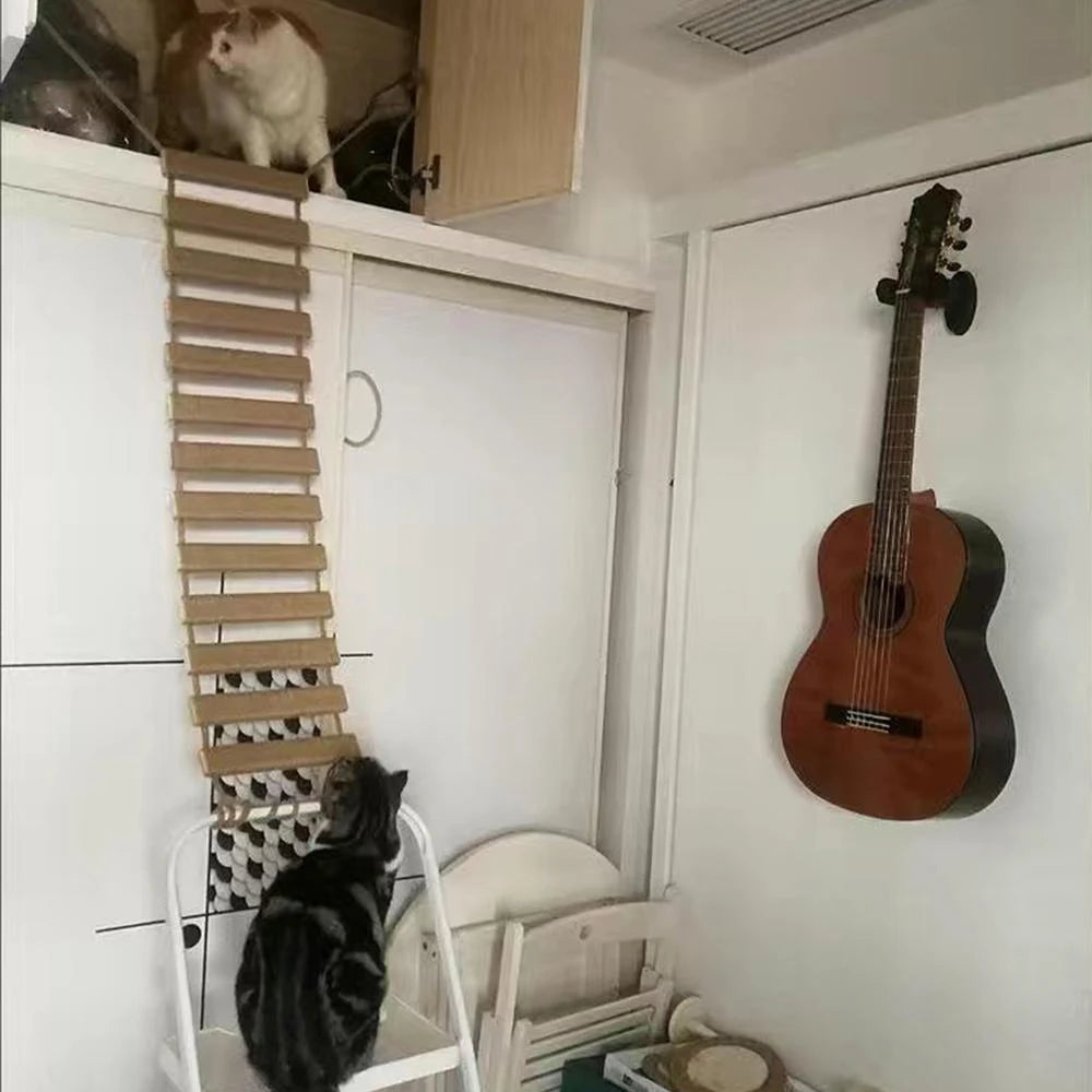 Pont d’Escalade pour Chat