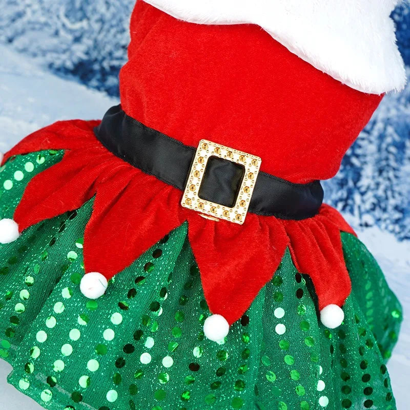 Robe de Noël festive - chien et chat