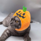 Chapeau Halloween - chat ou petit chien