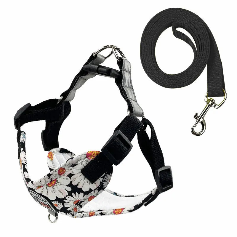 Harnais fleuri avec laisse - chien
