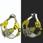 Harnais fleuri avec laisse - chien
