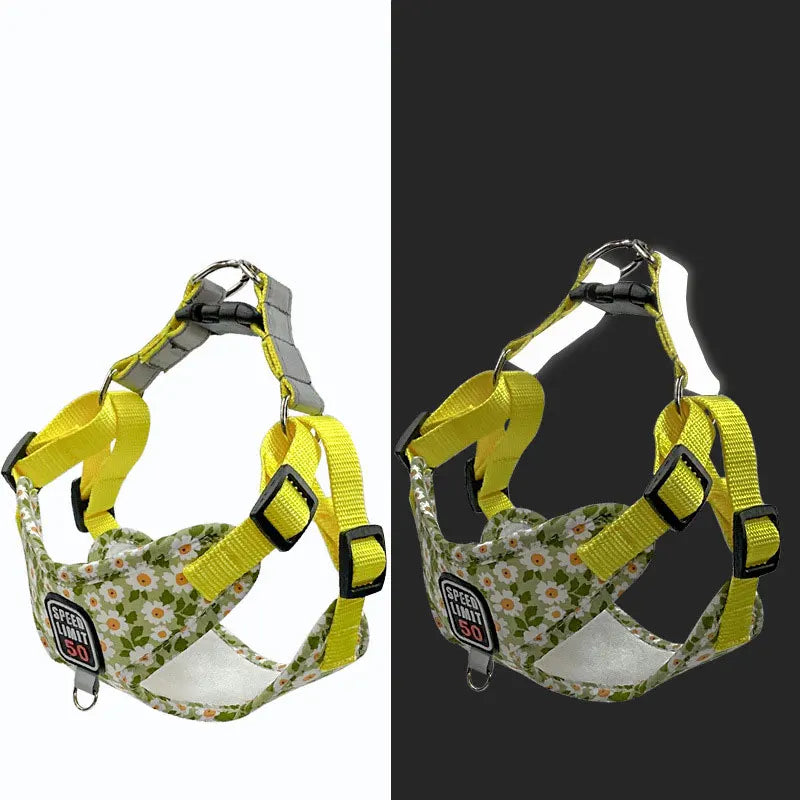 Harnais fleuri avec laisse - chien