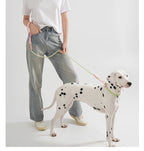 Collier ou laisse en PVC pour chien