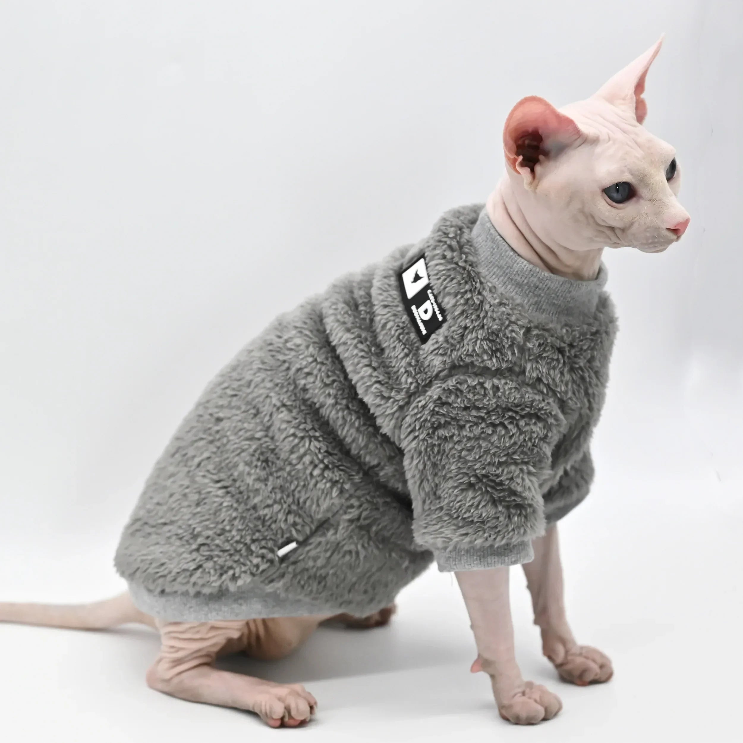 Pull d’hiver confort pour chat