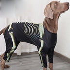 Costume squelette Halloween - chien
