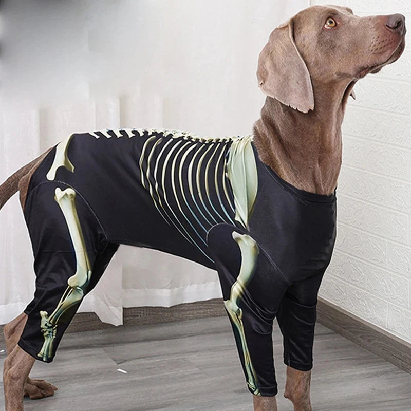 Costume squelette Halloween - chien
