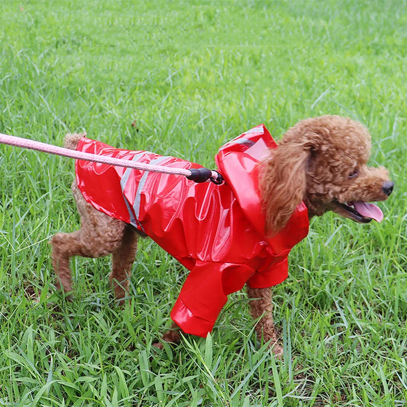 Manteau imperméable réfléchissant pour chien & chat