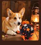 Balle Halloween avec cloche - chien