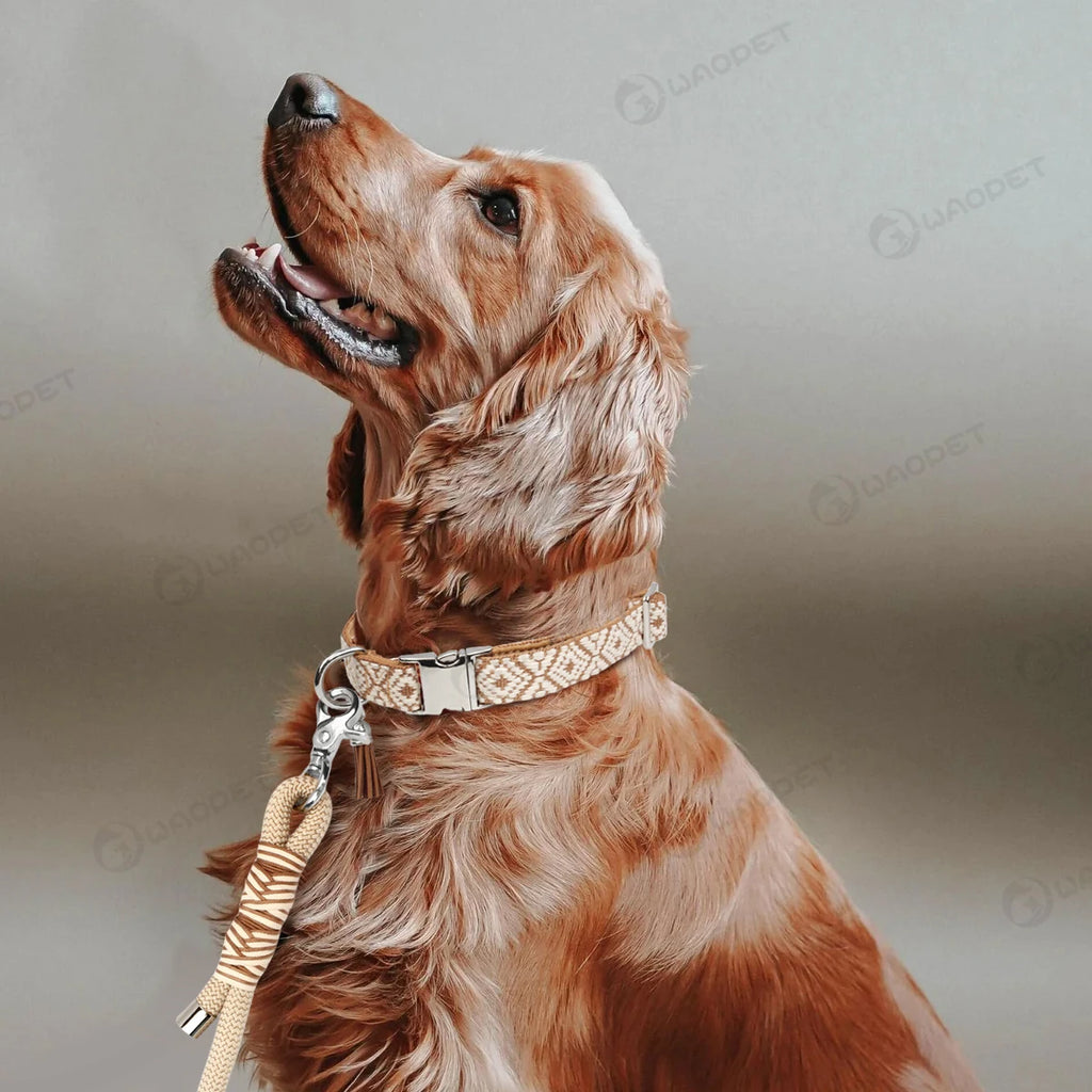 Collier bohème ethnique pour chien avec pendentif