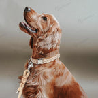 Collier bohème ethnique pour chien avec pendentif