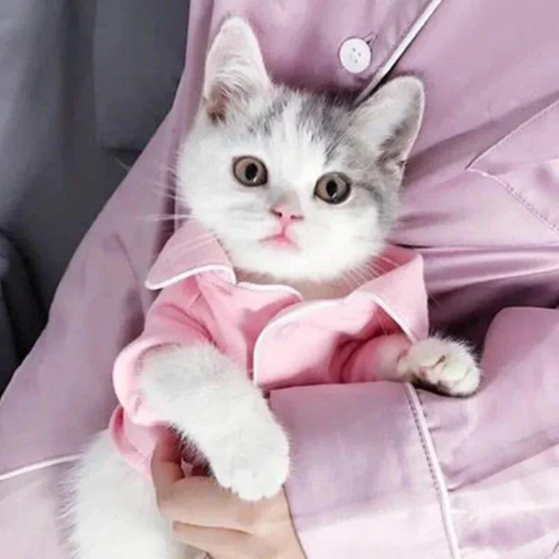 Chemise Légère pour Chat