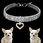 Collier strass cœur - chat ou petit chien