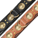 Collier en cuir large premium pour grand chien