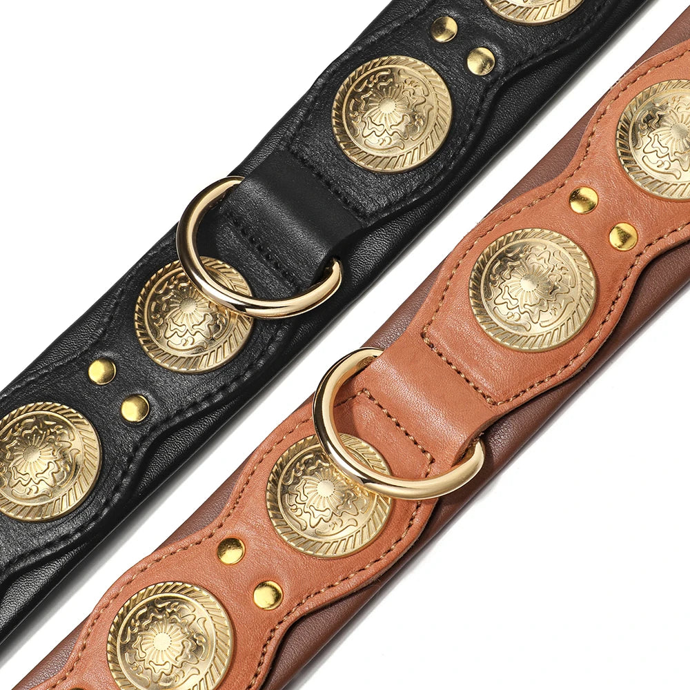 Collier en cuir large premium pour grand chien