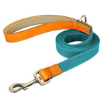 Laisse de marche nylon - chien