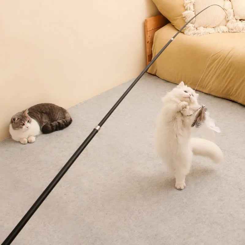 Canne à pêche télescopique avec plume - chat