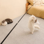Canne à pêche télescopique avec plume - chat