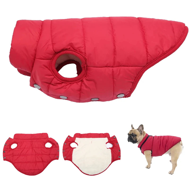 Veste d’Hiver Polaire pour Chien et Chat