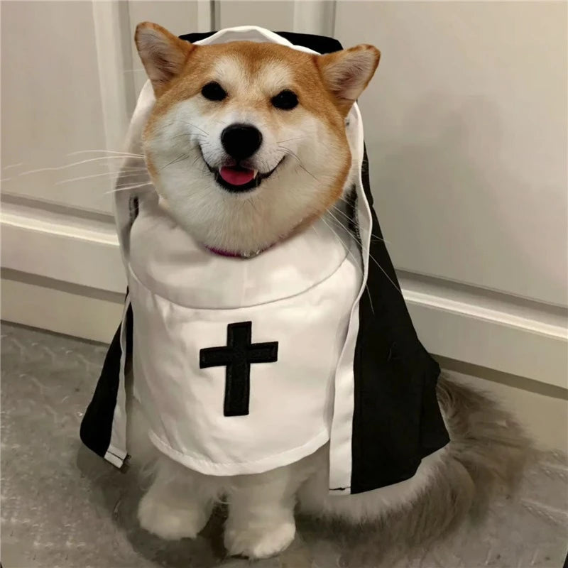 Costume de nonne Halloween - chien ou chat