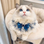 Collier dentelle nœud - chat ou petit chien