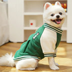 Veste baseball d’hiver - chien et chat