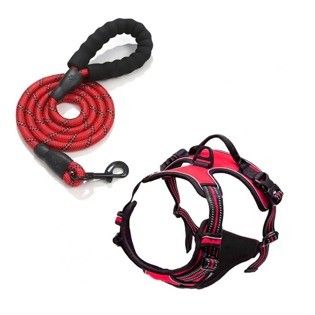 Harnais confort anti-traction avec laisse - chien