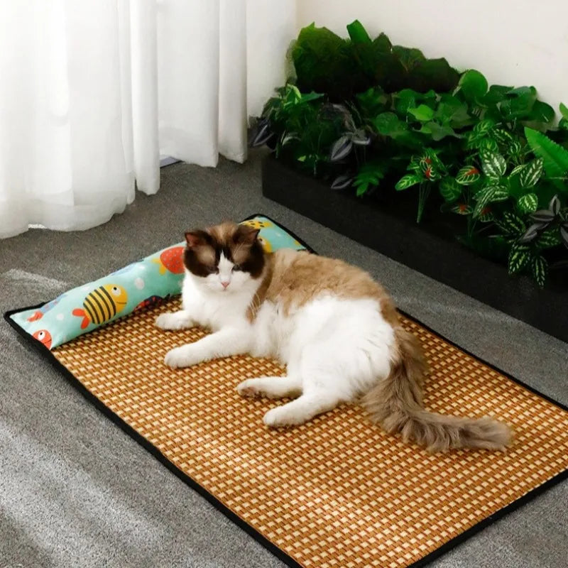 Tapis rafraîchissant été en rotin avec oreiller – Chat & petit chien