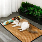 Tapis rafraîchissant été en rotin avec oreiller – Chat & petit chien