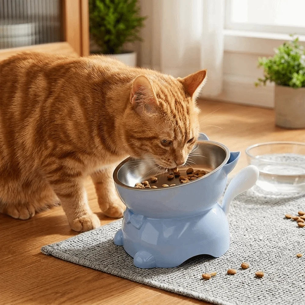 Bol incliné anti-étouffement - chat