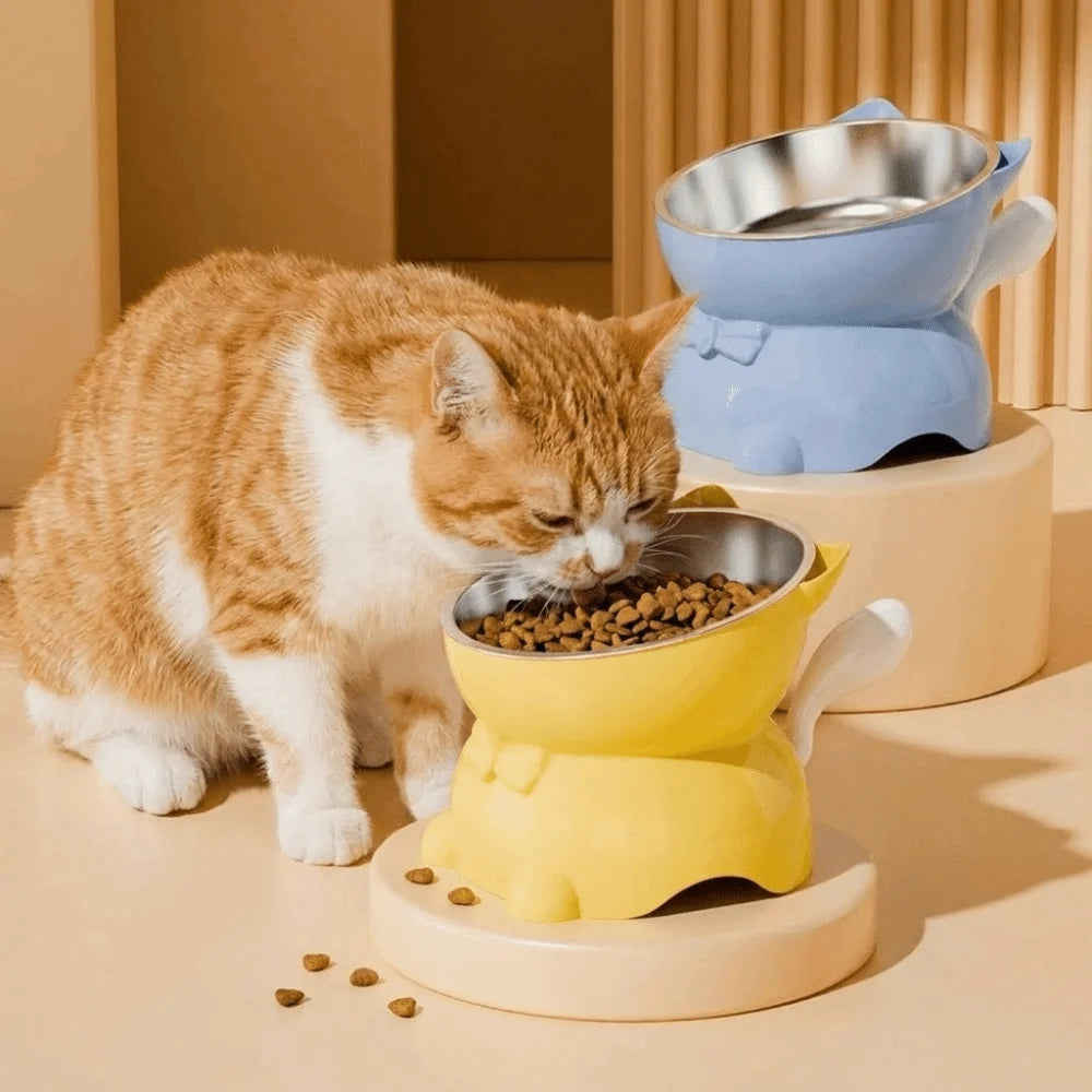 Bol incliné anti-étouffement - chat