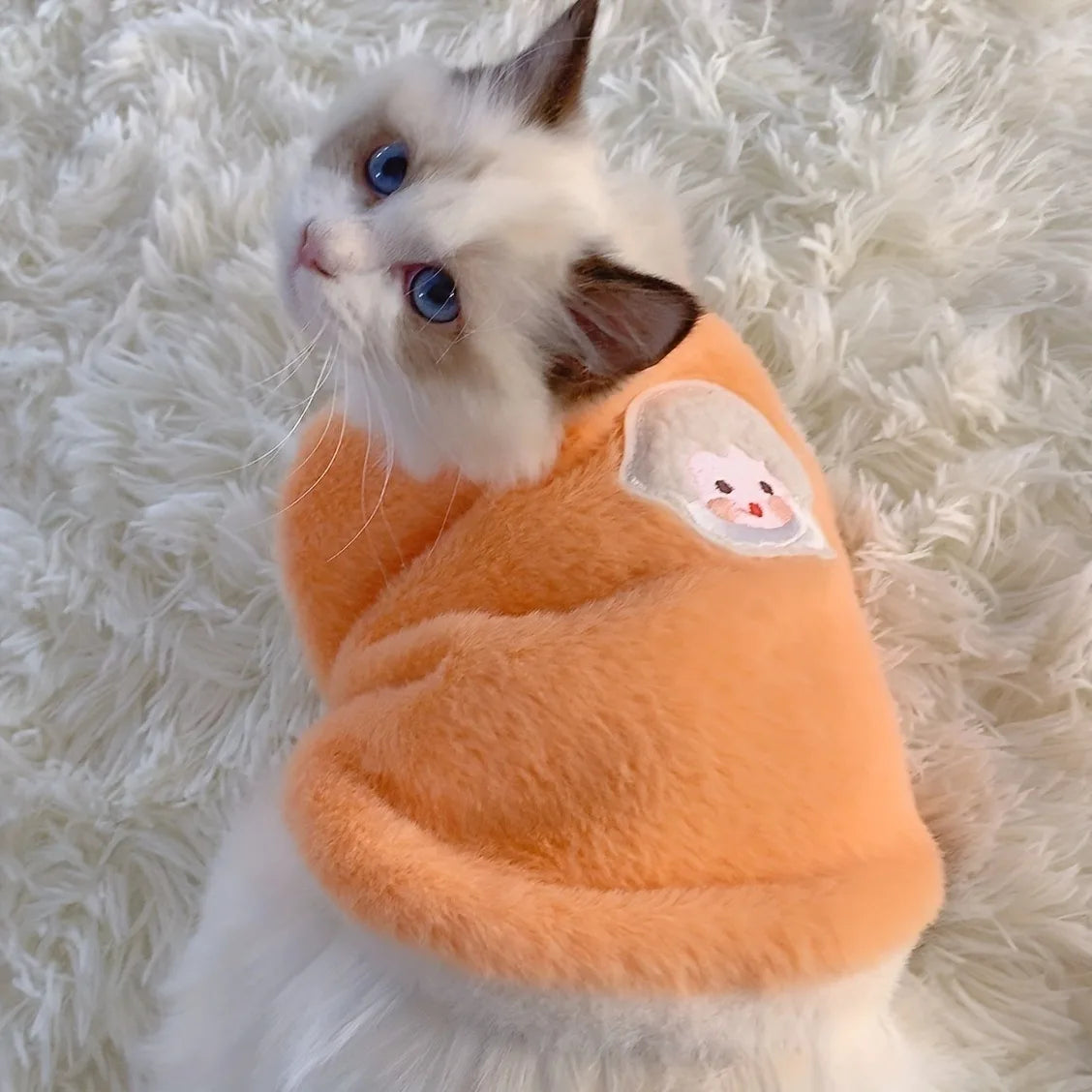 Gilet en peluche doux - chat