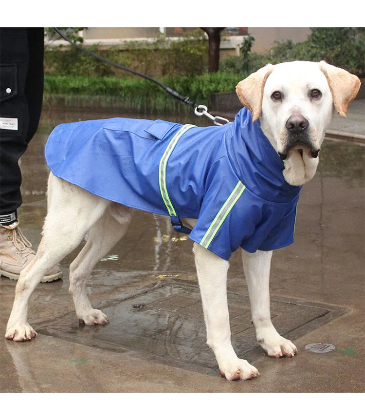 Imperméable à capuche pour grand chien