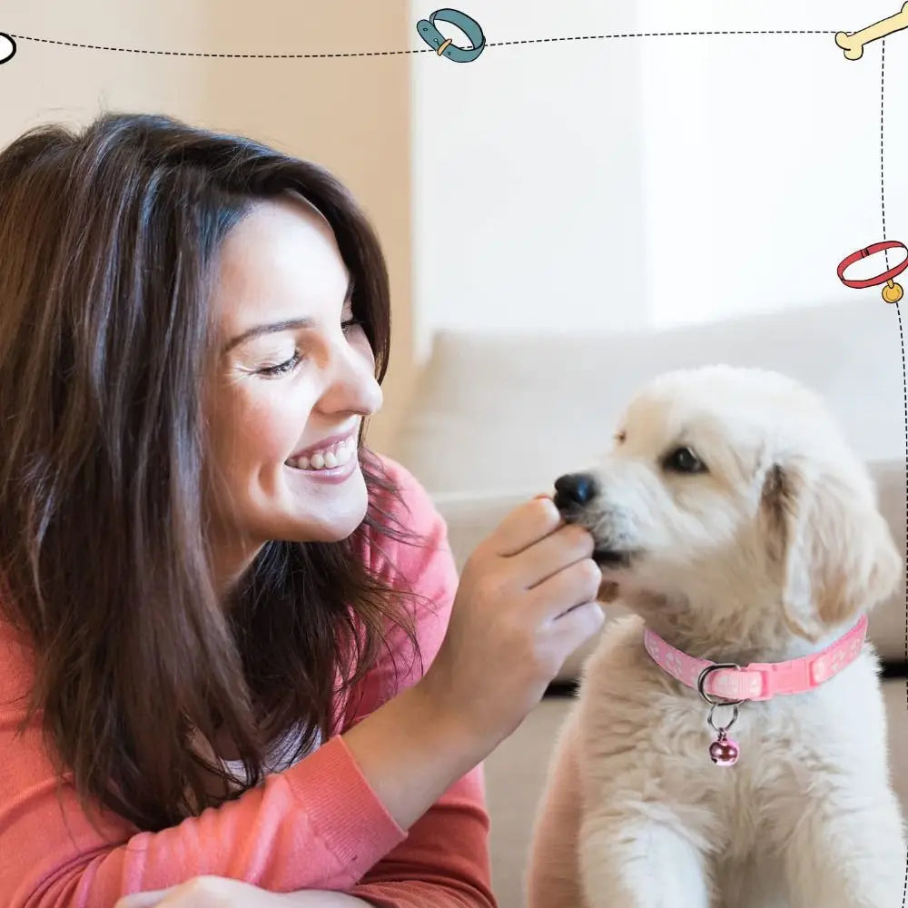 Collier + laisse nylon motif empreintes pour chat et petit chien
