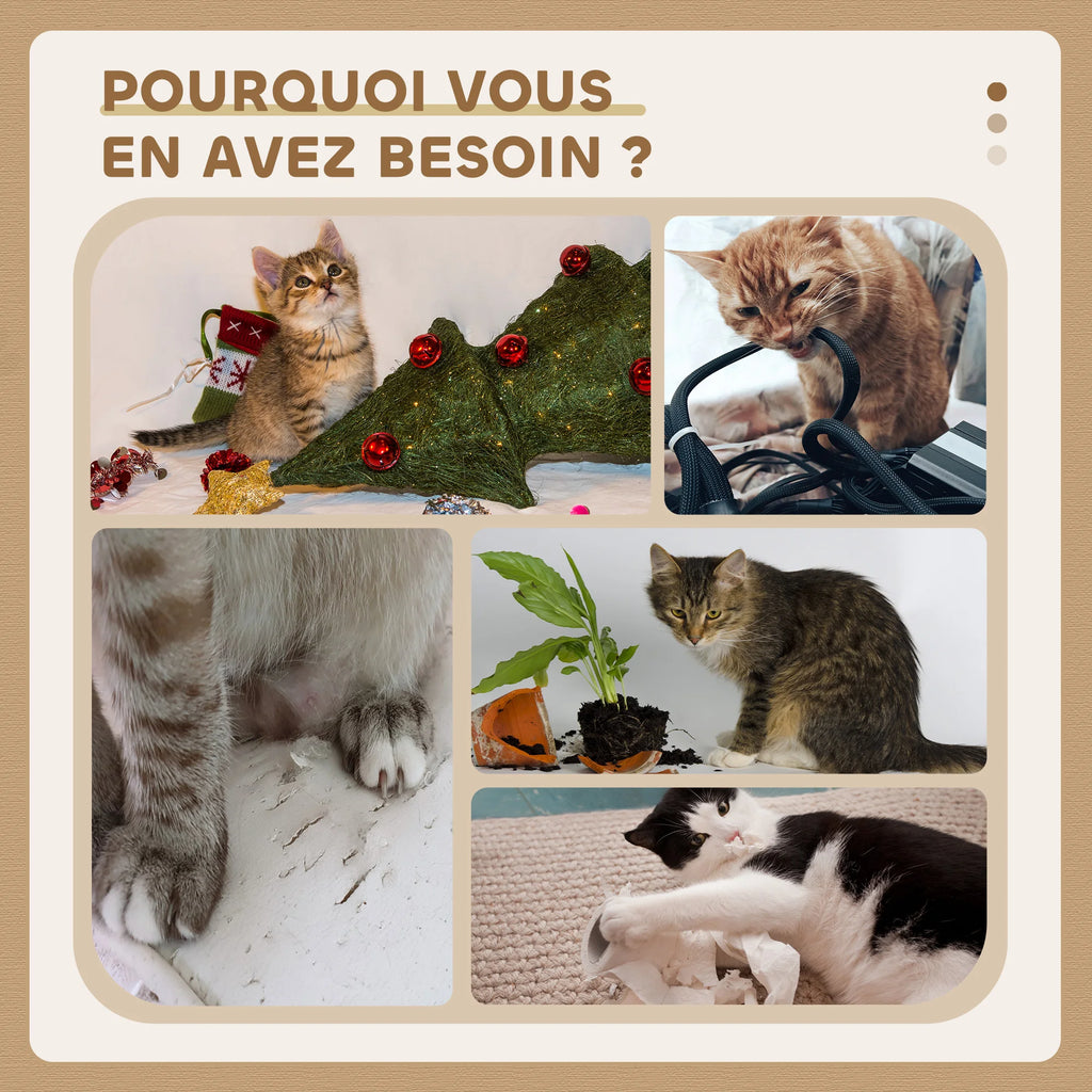 Arbre à chat en bois avec hamac et niche - chat