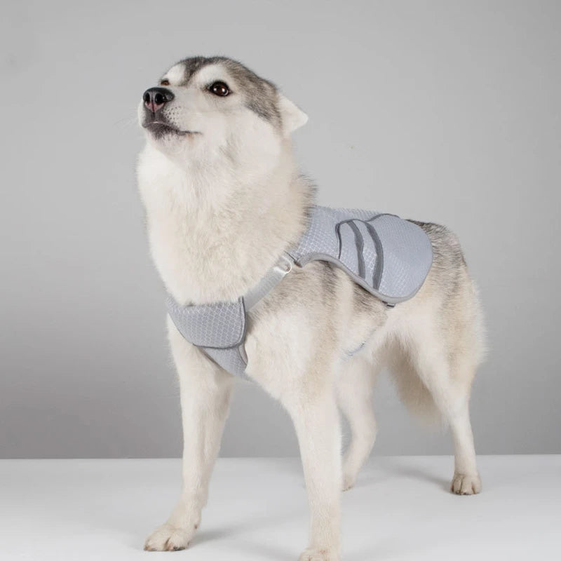 Veste rafraîchissante - chien
