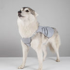 Veste rafraîchissante - chien