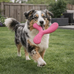 Disque volant flottant - chien