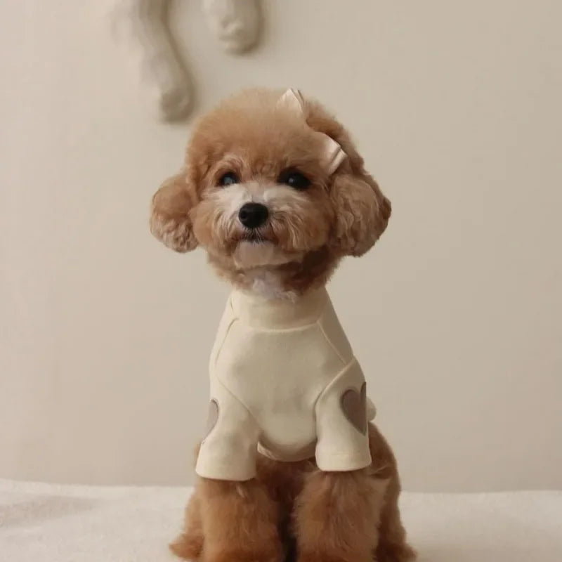 Pull chaud - chien ou chat