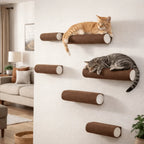 Griffoir mural auto-adhésif - chat