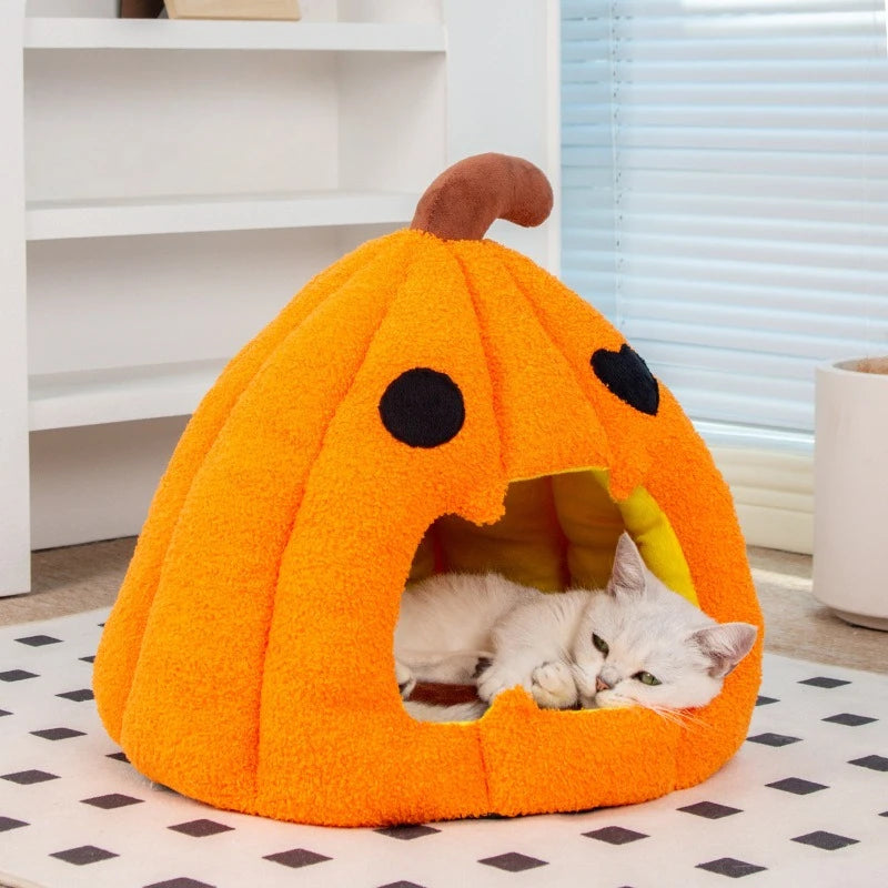 Nid citrouille Halloween - chat et petit chien