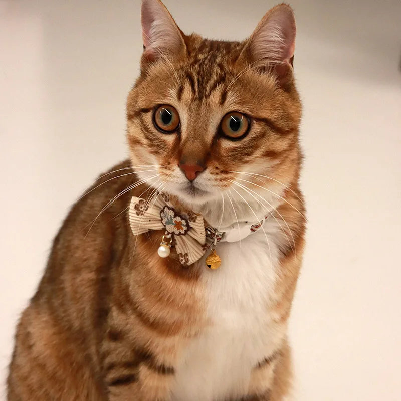 Collier Chat Nœud Papillon Dentelle & Clochette