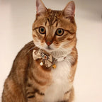 Collier Chat Nœud Papillon Dentelle & Clochette