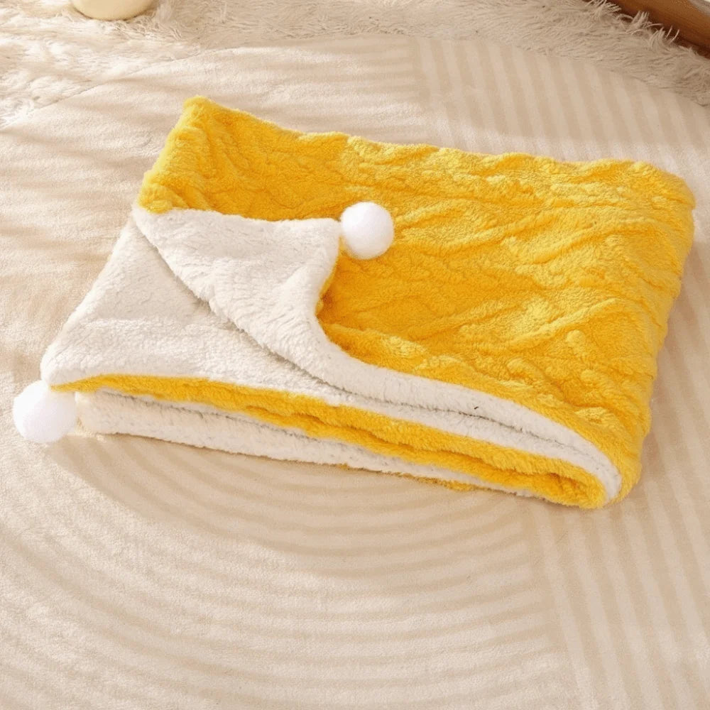 Plaid Cocooning Chat & Chien