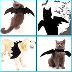 Ailes de chauve-souris Halloween - chien ou chat