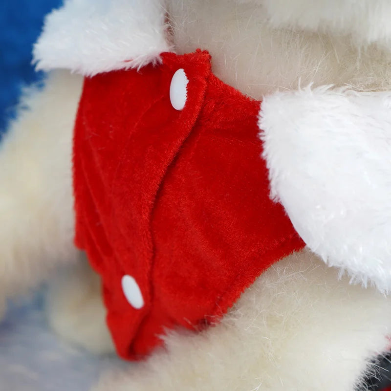 Robe de Noël festive - chien et chat