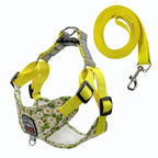 Harnais fleuri avec laisse - chien
