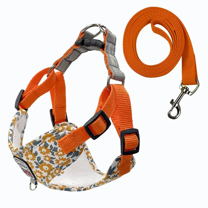 Harnais fleuri avec laisse - chien